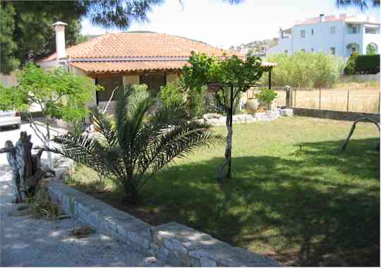 ����� - ���� ��� ���������