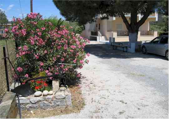 ����� - ���� ��� ���������