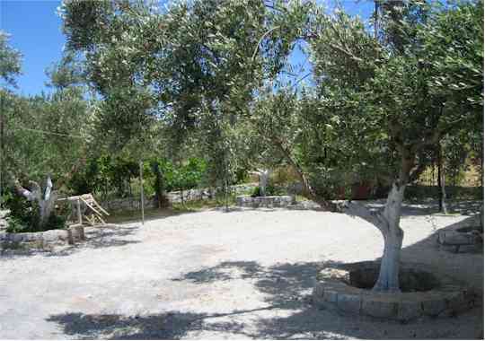 ����� - ���� ��� ���������